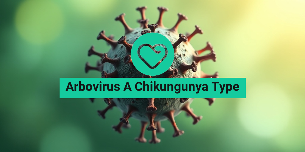 Arbovirus-A-Chikungunya-Type-health-condition-overview • Yesil Health AI