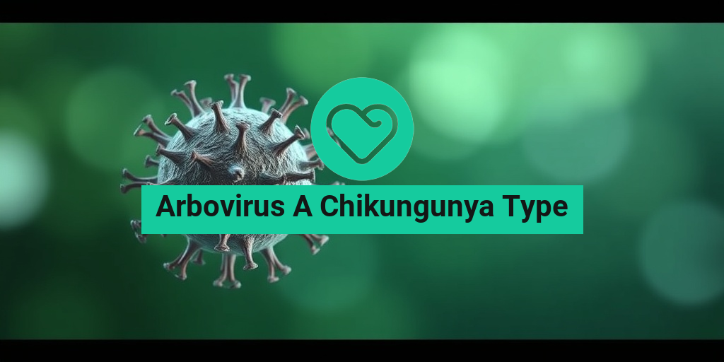 A 3D model of the Chikungunya virus, showcasing its spherical shape and intricate surface proteins against a calming green-blue background. • Yesil Health AI