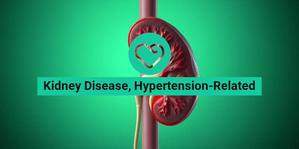 A detailed kidney affected by hypertension, showcasing damage against a soft green background, highlighting health impacts. • Yesil Health AI